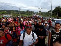 Trump’s Policies Shrink Migrant Population in the U.S.