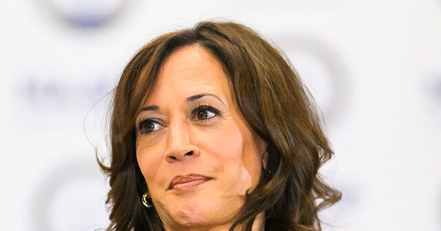 Report: Kamala Harris ‘Lays Groundwork’ for 2028 Campaign