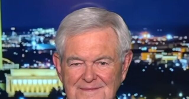 'How Do They Find These People?': Gingrich Suggests Dems Have a 'Central Casting for Weirdos'