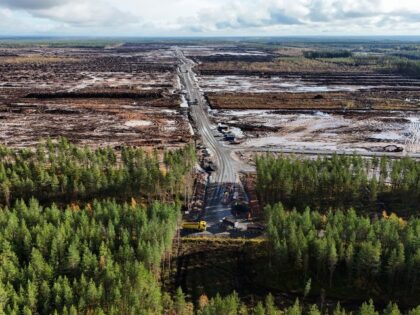 Google bulldozes forests