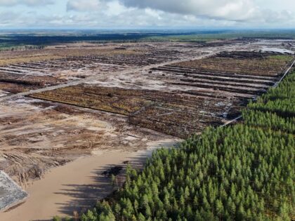 Google clearcuts forest in Finland