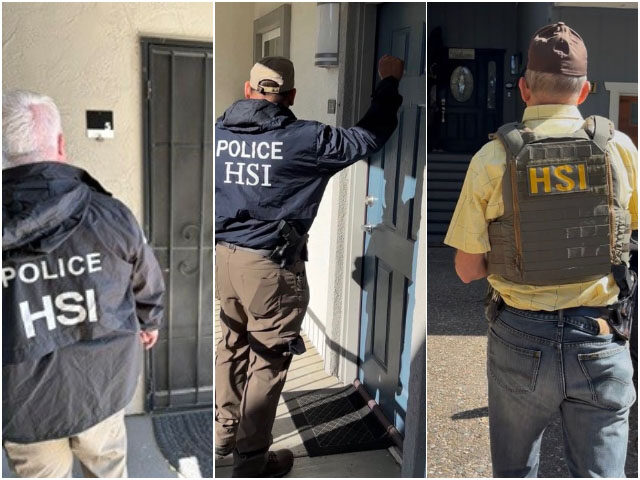 HSI DHS voter registration enforcement