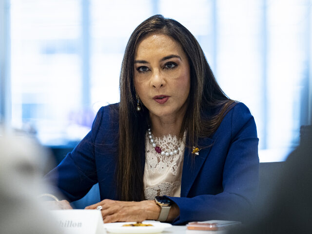 Harmeet Dhillon, assistant attorney general for civil rights at the US Department of Justi
