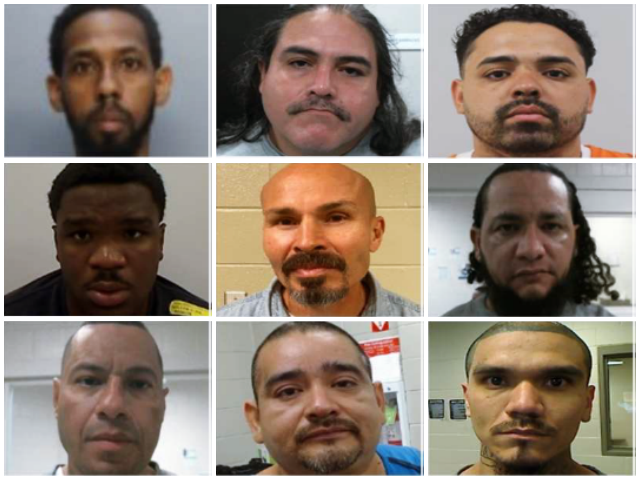 Immigration and Customs Enforcement