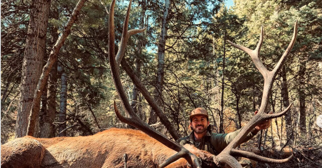Country Star Riley Green Gets Massive Elk on Utah Bow Hunt