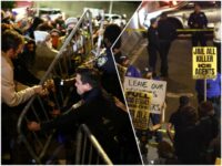 DHS: Criminal Alien Gang Member Shot by ICE Officer, Organized Protests Erupt