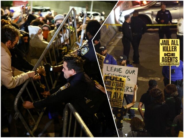 DHS: Criminal Alien Gang Member Shot by ICE Officer, Organized Protests Erupt (Getty Image