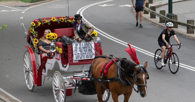 Mayor Mamdani: NYC's 'Horse Carriage Industry Is Coming to an End'