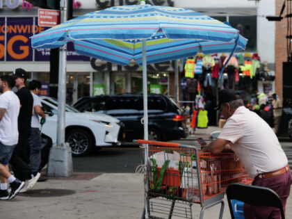 A street vendor sells products along Roosevelt Avenue in Queens, an area with a high numbe