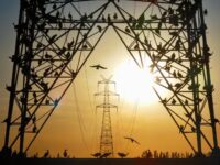 Utilities Struggle to Confront Issue of ‘Phantom’ AI Data Centers