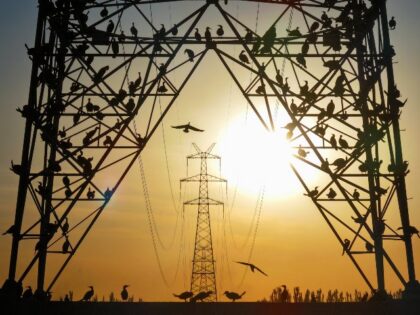 Utilities Struggle to Confront Issue of ‘Phantom’ AI Data Centers