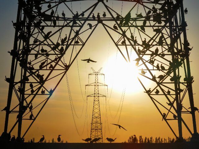 Utilities Struggle to Confront Issue of ‘Phantom’ AI Data Centers
