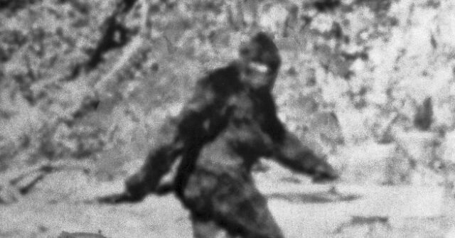 Famous 1967 Bigfoot Video Officially Confirmed a Hoax in Documentary