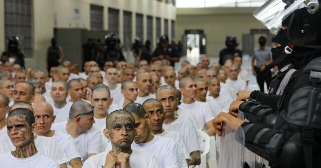 El Salvador Logs over 10,500 Gang Member Convictions Since 2022