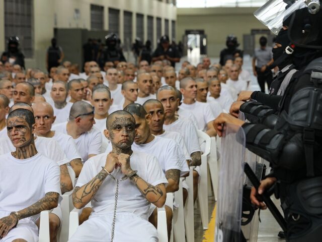 El Salvador Logs over 10,500 Gang Member Convictions Since 2022