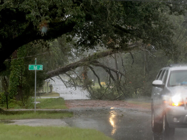 Hurricane Isaias Brings 96 MPH Gusts to Florida as Flooding Threat Grows