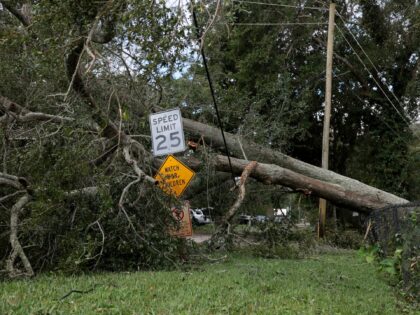 hurricane tragedy FORT WALTON BEACH, FLORIDA - OCTOBER 10: A tree rests in a power line after it fell when H