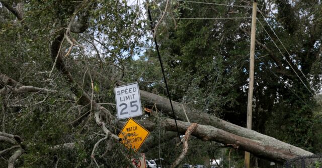 VIDEO: Man Grieves Wife Killed When Tree Fell on Home amid Hurricane