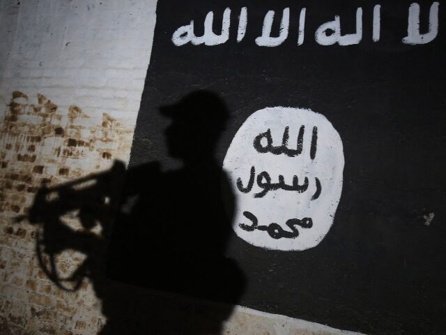 TOPSHOT - A member of the Iraqi forces walks past a mural bearing the logo of the Islamic