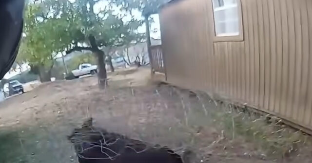 WATCH: Idaho Deputy Rescues Juvenile Moose Tangled in Wire