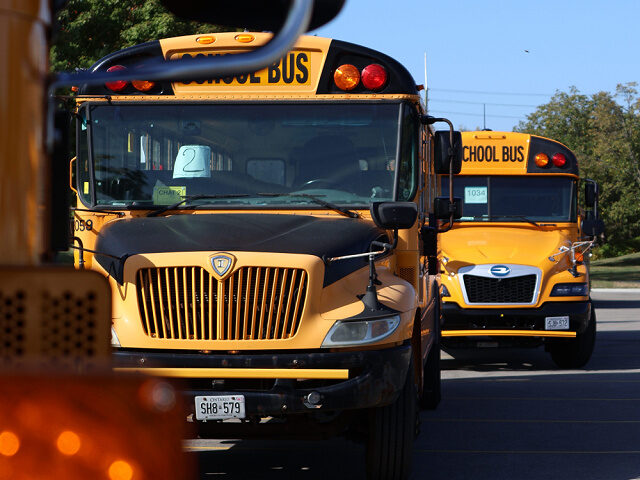 Line of yellow school buses parked outdoors during the day.