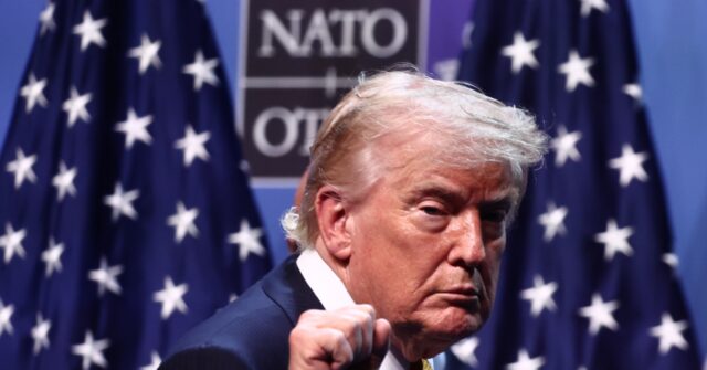 Trump Effect: Top NATO Powers Reaffirm U.S. Alliance