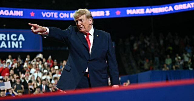 'Was That the Palestinian Flag?' Trump Calls out Protesters at Ohio Rally