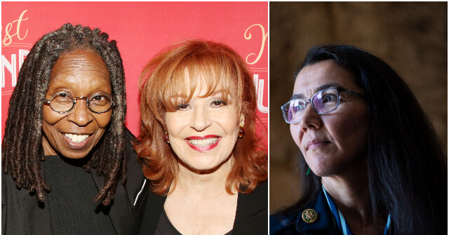‘The View' Hosts Blast Alaska Democrats' ‘Shady Tactic' Putting a Second Dan Sullivan on the Ballot