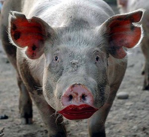 podesta CAP podesta CAP