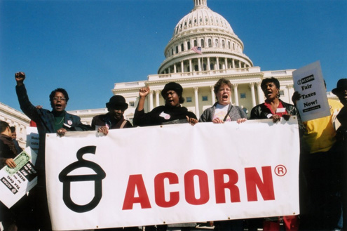 acorn
