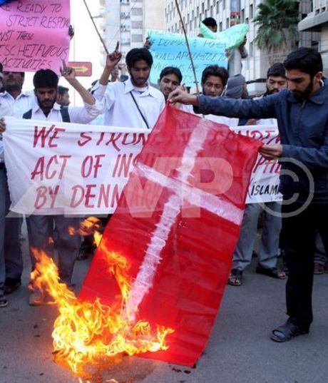 democratic_crybaby_seal