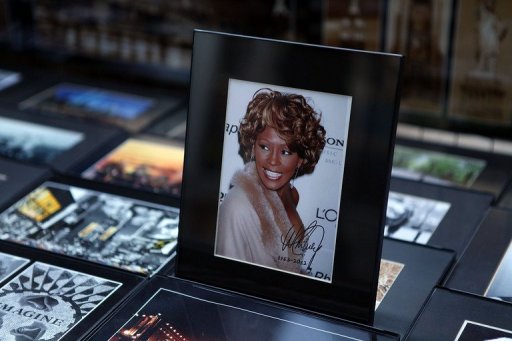 Whitney Houston Died of Accidental Drowning: Reports