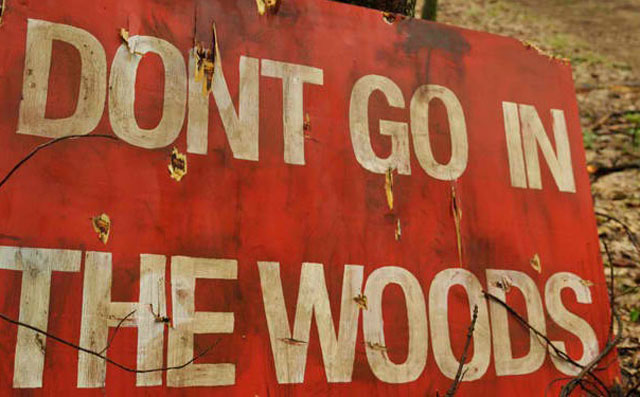 'Don't Go in the Woods' DVD Review: D'onofrio Dazzles and Confuses