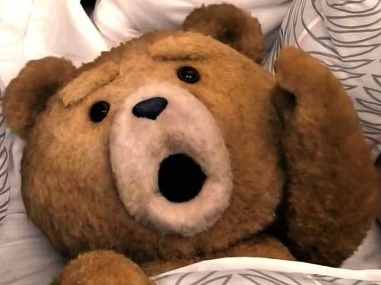 Comedy Police: 'Ted' Targeted for ALS Gag