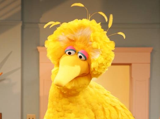PBS Has Big Bird's Back While 'Sesame Street' Source Downplays Extinction Fears