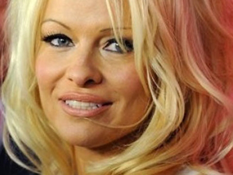 Pam Anderson Slams Romney Supporters as 'Cruel,' Previously Called Him 'Awful,' 'Nightmare'