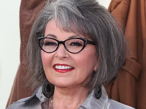 How Did Roseanne Barr Do on Election Day?