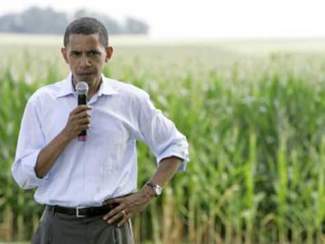Algae-Based Biofuels: More of President Obama's Green Cronyism
