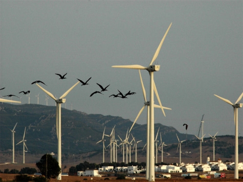 Wind Farms Seek to Avoid Lawsuits by Adding Bird Radar Systems