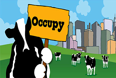 Ben & Jerry's Pushes Occupy Defacement of Currency