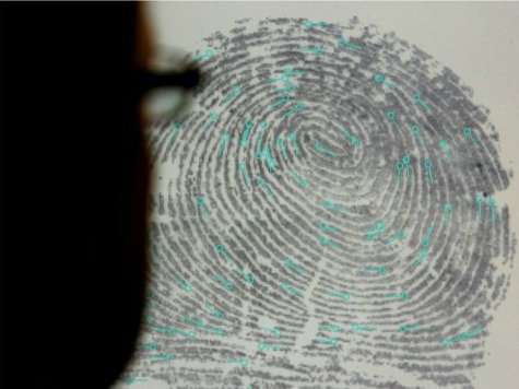 Feinstein: All Gun Owners Should Be Registered, Fingerprinted