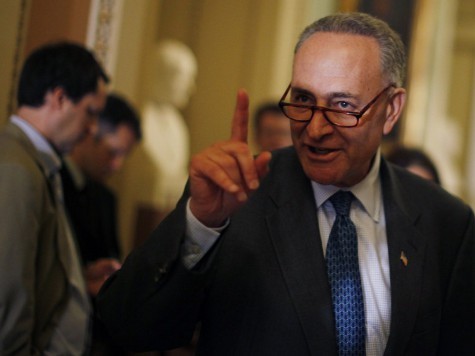 Sen. Schumer Quietly Adds Extreme Measures to Gun Sellers Bill