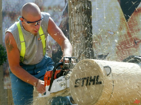 Radical Groups Threaten US Timber Industry