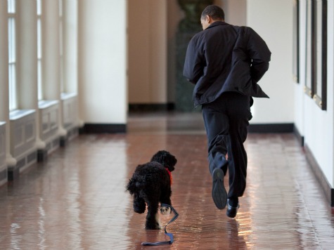 Obama Tells GOP He'll 'Walk the Dog' or 'Wash Their Car' to Reduce Deficit