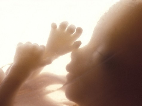 Planned Parenthood: Over 333,000 Babies Aborted in 2011