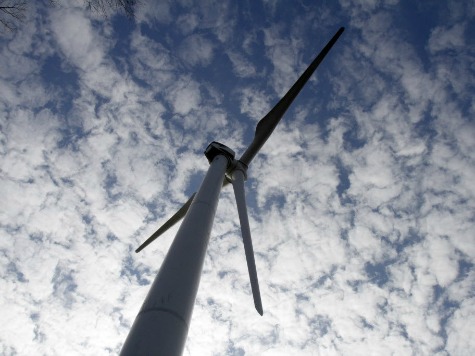 Green Movement Founder Opposes Wind Turbines in His Backyard