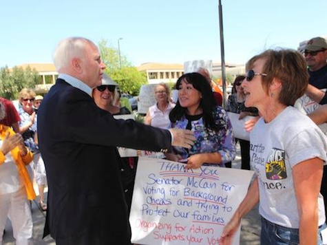 Organizing for Action Woos McCain on Gun Control
