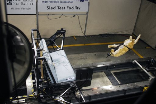 Crash Tests Use Center for Pet Safety's Dummy Dogs
