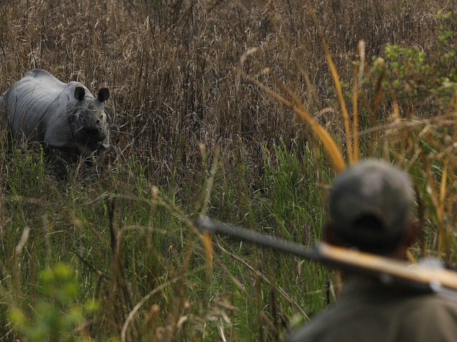 Daily Beast: RINO Hunting Season Opens