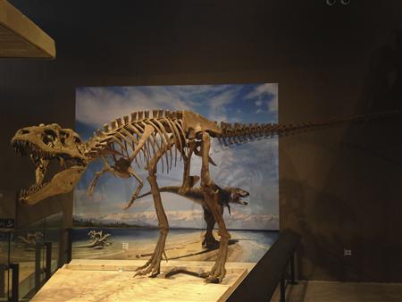 Scientists Say New Dinosaur Found in Utah Relative of T. Rex